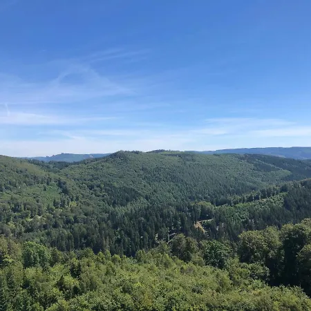 Daire Alicia Winterberg